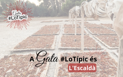 En Gata, #LoTípic es l’Escaldà.