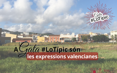 A Gata, #LoTípic són les expressións