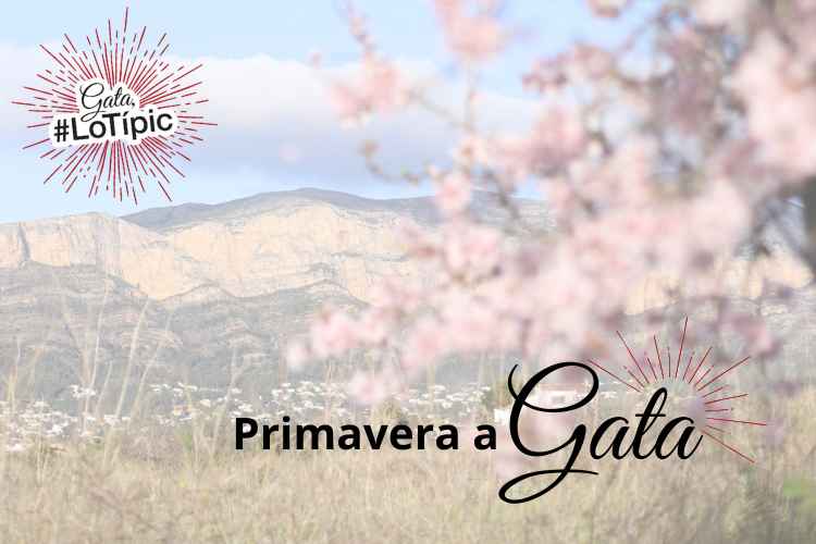 La primavera a Gata