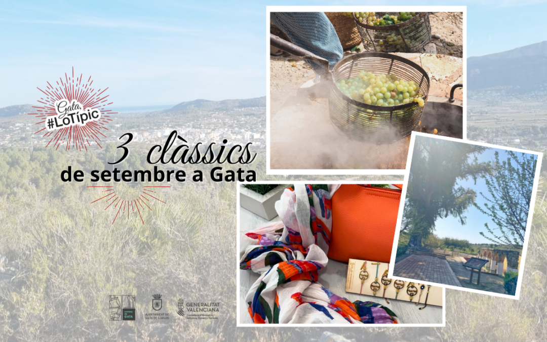 THREE TOP PRODUCTS YOU CAN BUY IN GATA