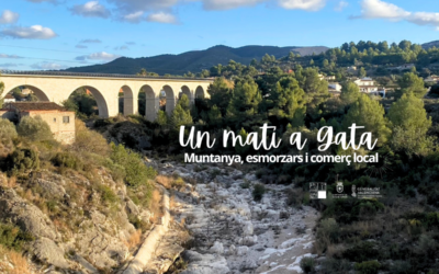 Montaña, almuerzo y comercio local: Una mañana en Gata