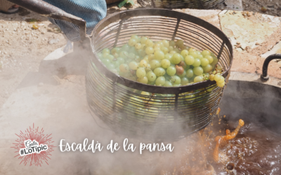 En Gata, lo típico es L’escaldà de la pansa